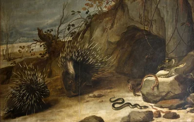 Stachelschweine und Vipern